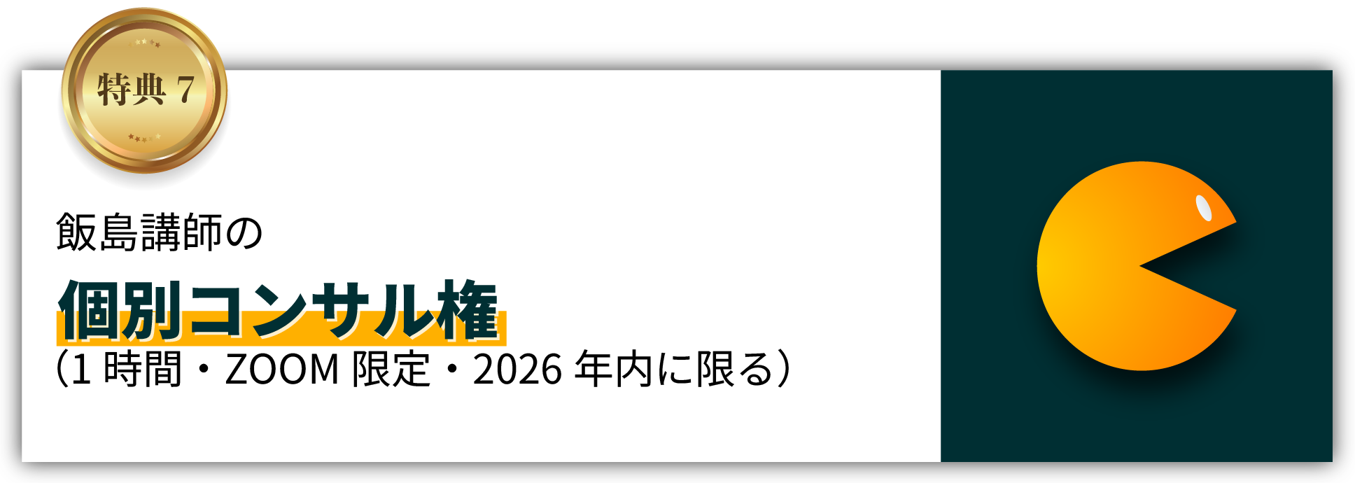 飯島講師の個別コンサル権（1時間・ZOOM限定・2026年内に限る）