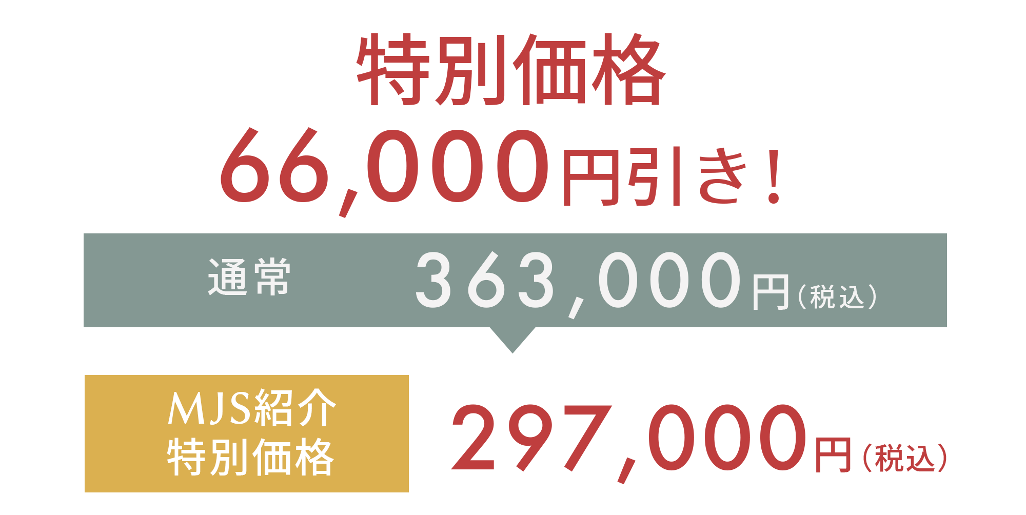 ３月３１日まで１８１，０００円引き！通常363,000円(税込)→MJS紹介特別価格187,000円(税込)