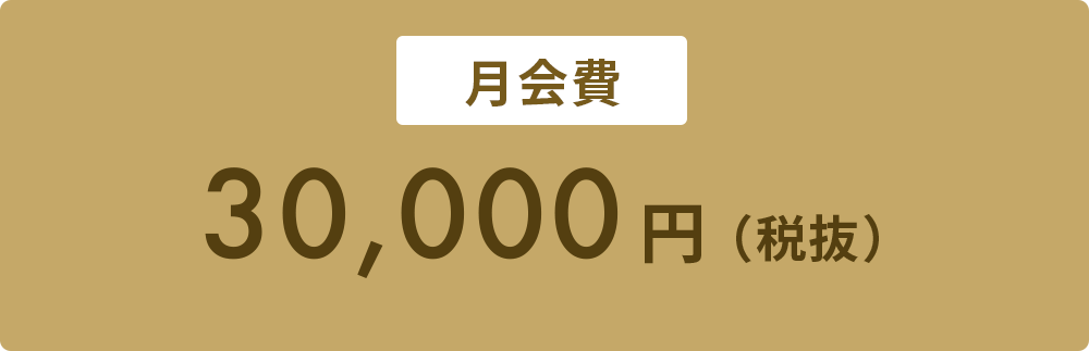月会費30,000円（税抜）