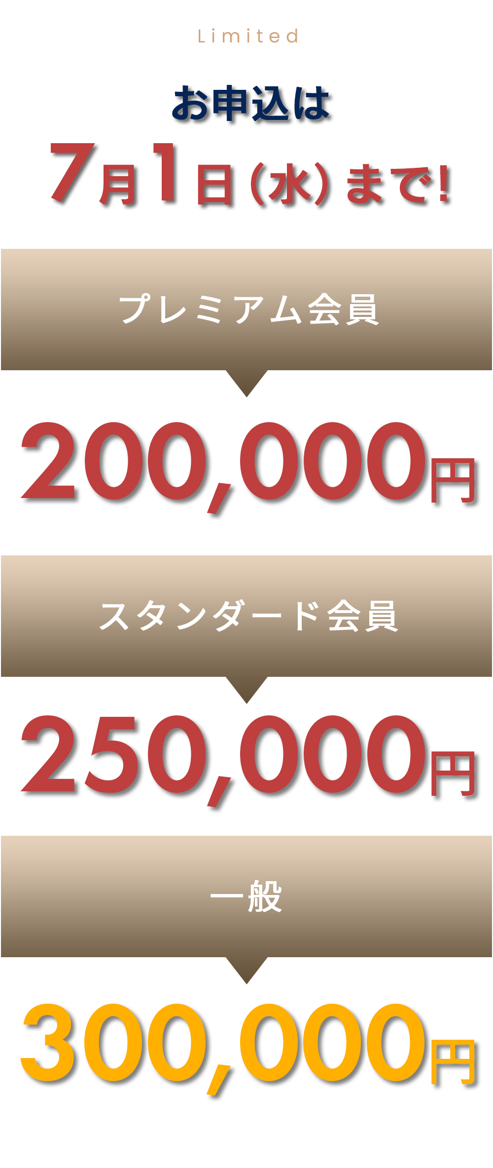 SPECIAL PRICE