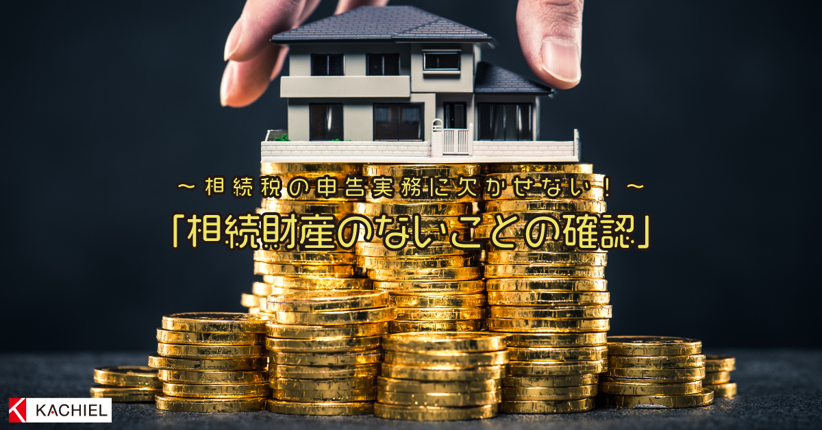 相続財産のないことの確認DVD - 税務調査対策を中心とした税理士